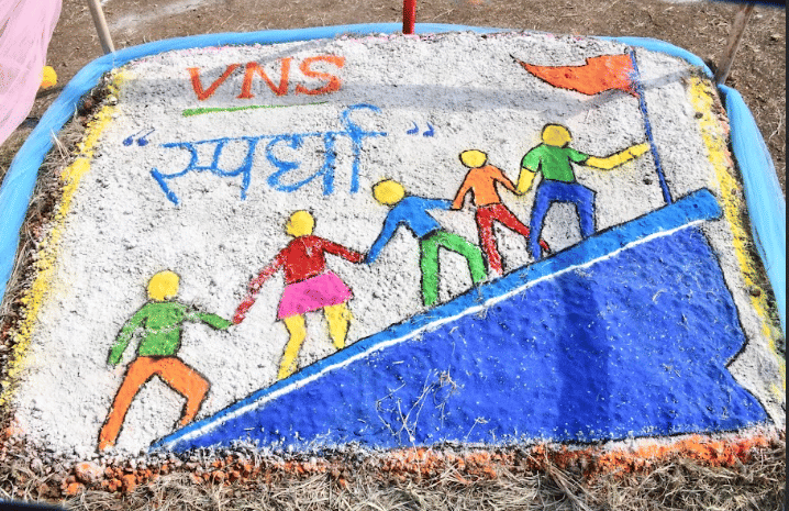 VNS Group of Institutions, Faculty of Pharmacy Bhopal Kites Festival photo 6